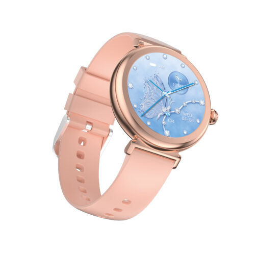 Smartwatch evo800